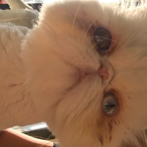 Meet your Posher, Arielle